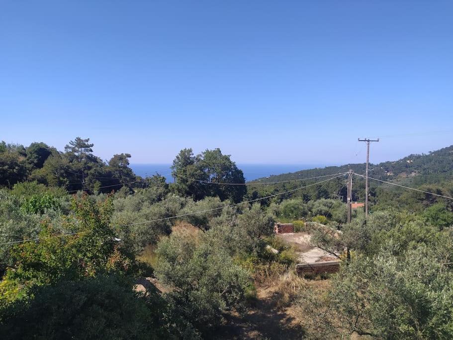 Apartment Sergi *