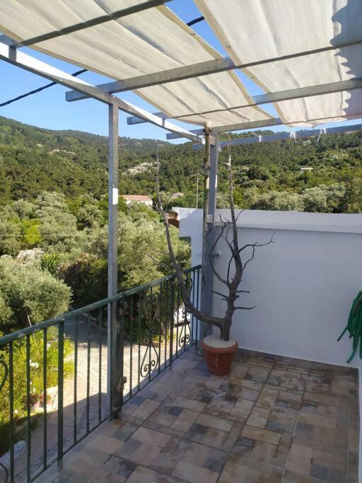 Apartment Sergi *