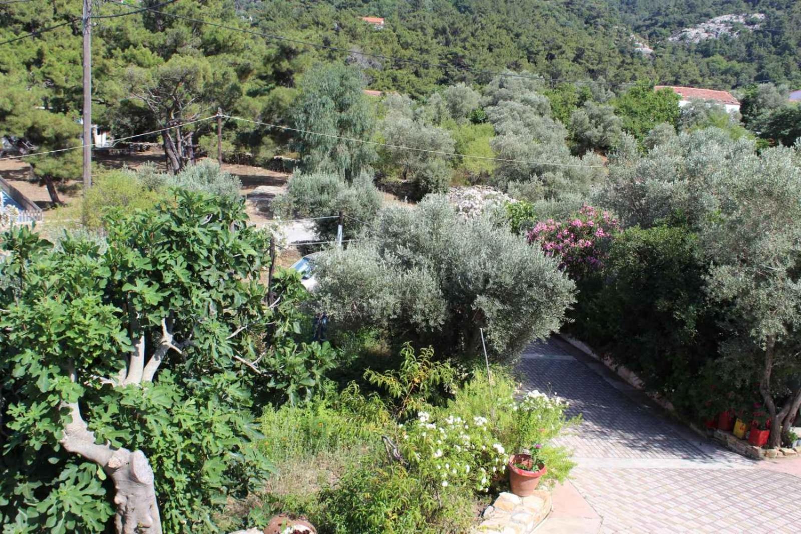 Apartment Sergi