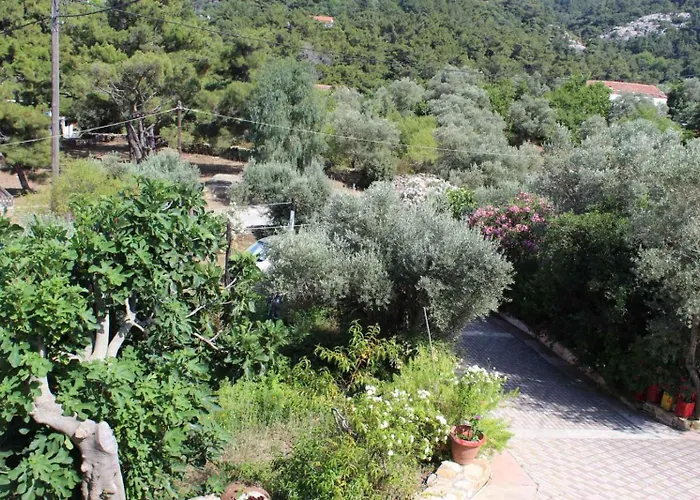 Sergi Home