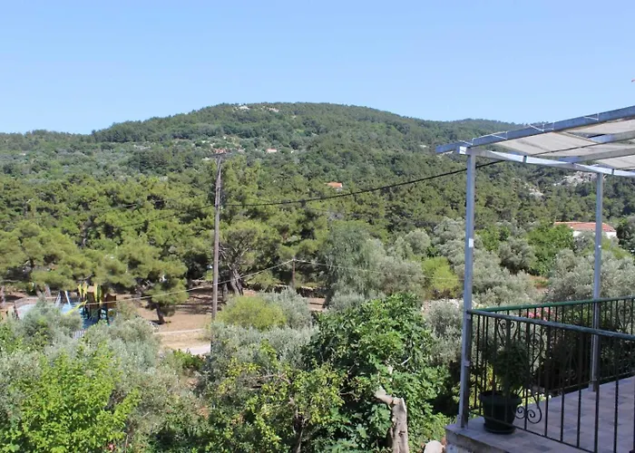 Sergi Home