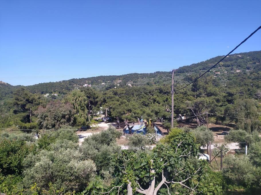 Apartment Sergi *